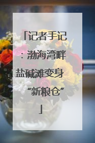 记者手记：渤海湾畔盐碱滩变身“新粮仓”