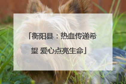 衡阳县：热血传递希望 爱心点亮生命