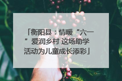 衡阳县：情暖“六一”爱润乡村 这场助学活动为儿童成长添彩