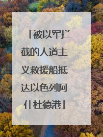 被以军拦截的人道主义救援船抵达以色列阿什杜德港