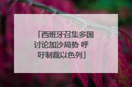 西班牙召集多国讨论加沙局势 呼吁制裁以色列