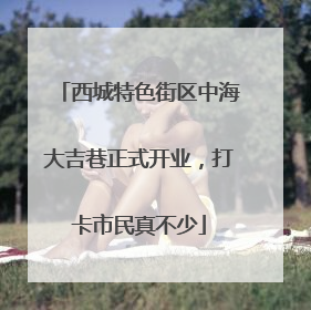 西城特色街区中海大吉巷正式开业，打卡市民真不少