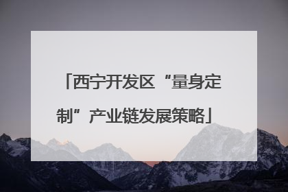 西宁开发区“量身定制”产业链发展策略