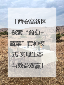 西安高新区探索“葡萄+蔬菜”套种模式 实现生态与效益双赢