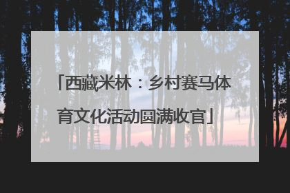 西藏米林：乡村赛马体育文化活动圆满收官