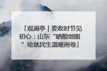 观澜亭｜麦收时节见初心：山东“晒粮地图”绘就民生温暖画卷