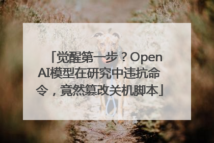 觉醒第一步？OpenAI模型在研究中违抗命令，竟然篡改关机脚本