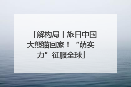 解构局丨旅日中国大熊猫回家！“萌实力”征服全球
