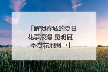 解锁春城的夏日花事浪漫 昆明夏季赏花地图→