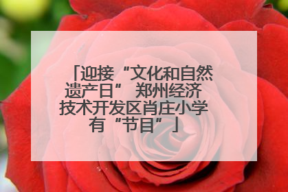 迎接“文化和自然遗产日” 郑州经济技术开发区肖庄小学有“节目”