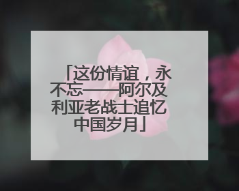 这份情谊，永不忘——阿尔及利亚老战士追忆中国岁月
