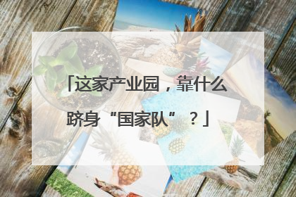 这家产业园，靠什么跻身“国家队”？