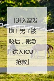 进入高发期！男子被咬后，紧急送入ICU抢救