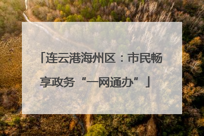 连云港海州区：市民畅享政务“一网通办”