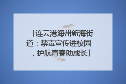 连云港海州新海街道：禁毒宣传进校园，护航青春助成长
