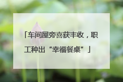 车间屋旁喜获丰收，职工种出“幸福餐桌”