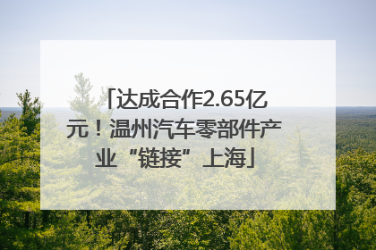 达成合作2.65亿元！温州汽车零部件产业“链接”上海