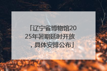 辽宁省博物馆2025年暑期延时开放，具体安排公布