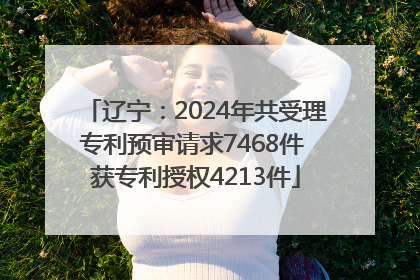 辽宁：2024年共受理专利预审请求7468件 获专利授权4213件