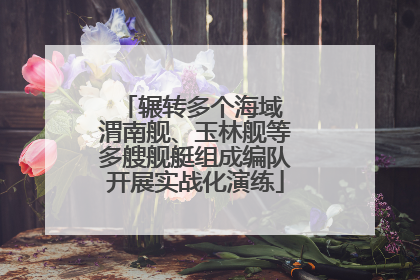 辗转多个海域 渭南舰、玉林舰等多艘舰艇组成编队开展实战化演练