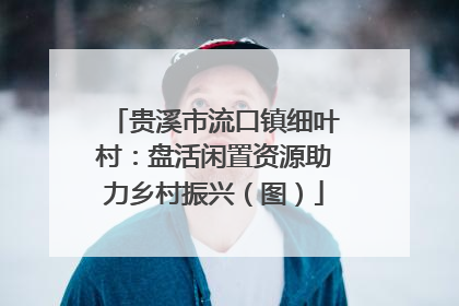 贵溪市流口镇细叶村：盘活闲置资源助力乡村振兴（图）