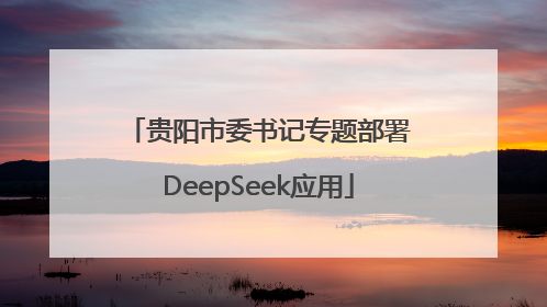 贵阳市委书记专题部署DeepSeek应用