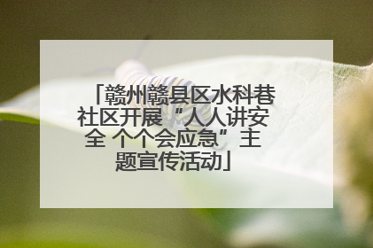 赣州赣县区水科巷社区开展“人人讲安全 个个会应急”主题宣传活动
