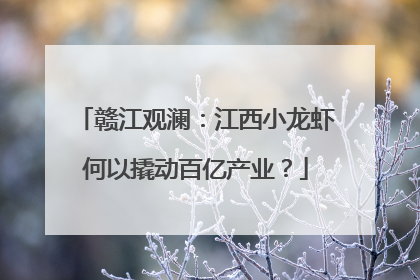 赣江观澜：江西小龙虾何以撬动百亿产业？