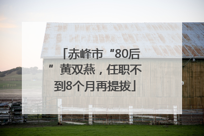 赤峰市“80后”黄双燕，任职不到8个月再提拔