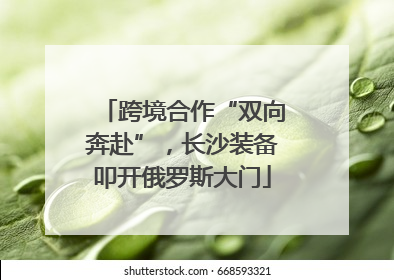 跨境合作“双向奔赴”，长沙装备叩开俄罗斯大门