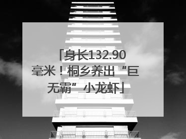 身长132.90毫米！桐乡养出“巨无霸”小龙虾