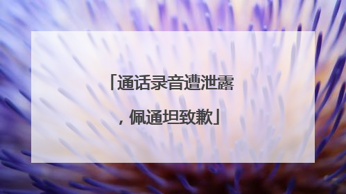 通话录音遭泄露，佩通坦致歉