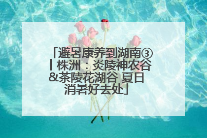 避暑康养到湖南③丨株洲：炎陵神农谷&茶陵花湖谷 夏日消暑好去处