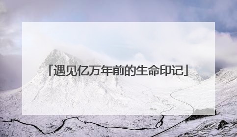 遇见亿万年前的生命印记
