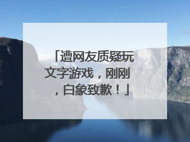 遭网友质疑玩文字游戏，刚刚，白象致歉！
