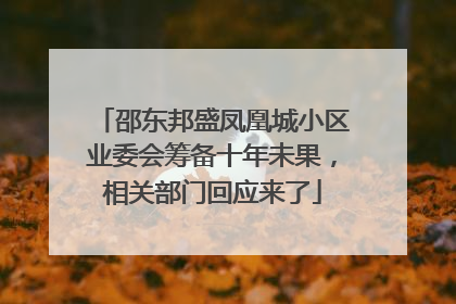 邵东邦盛凤凰城小区业委会筹备十年未果，相关部门回应来了