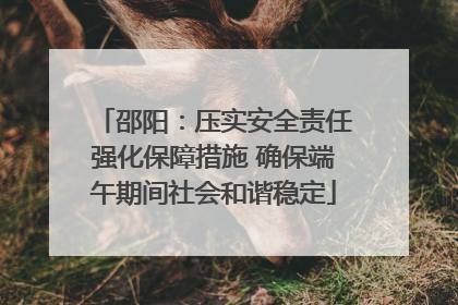 邵阳：压实安全责任强化保障措施 确保端午期间社会和谐稳定