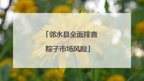 邻水县全面排查粽子市场风险