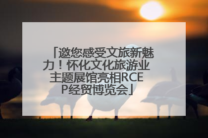 邀您感受文旅新魅力！怀化文化旅游业主题展馆亮相RCEP经贸博览会