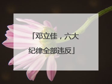 邓立佳，六大纪律全部违反