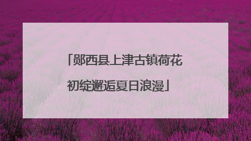郧西县上津古镇荷花初绽邂逅夏日浪漫