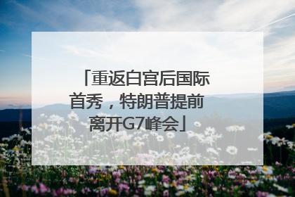 重返白宫后国际首秀，特朗普提前离开G7峰会