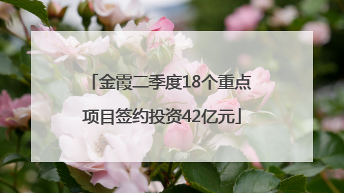 金霞二季度18个重点项目签约投资42亿元