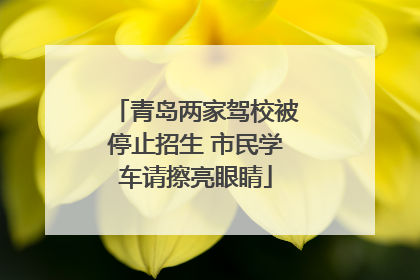 青岛两家驾校被停止招生 市民学车请擦亮眼睛
