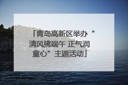 青岛高新区举办“清风拂端午 正气润童心”主题活动