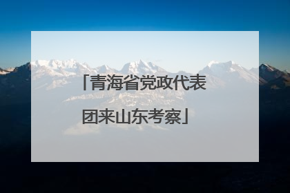青海省党政代表团来山东考察