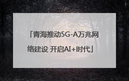 青海推动5G-A万兆网络建设 开启AI+时代