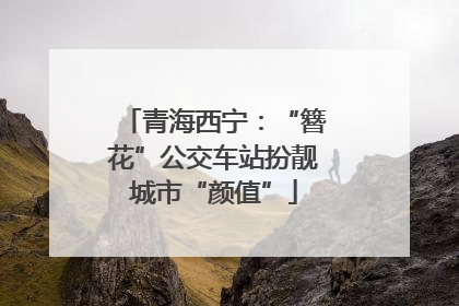 青海西宁：“簪花”公交车站扮靓城市“颜值”