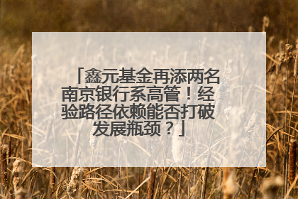 鑫元基金再添两名南京银行系高管！经验路径依赖能否打破发展瓶颈？