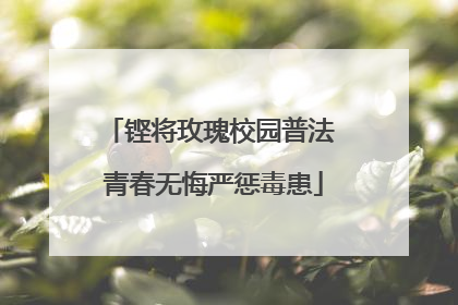 铿将玫瑰校园普法 青春无悔严惩毒患